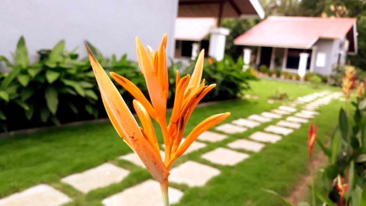 Arcadia Resort Alibaug Alībāg Zewnętrze zdjęcie